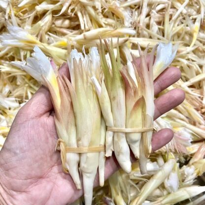 H&H : Dried Kaempferia Candida - Pa Dat Sar (ပဒတ်စာ) - Image 2